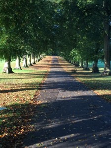 Rothamstead Park