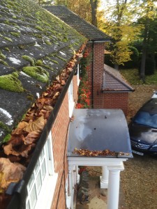 Moss and leaves in gutter