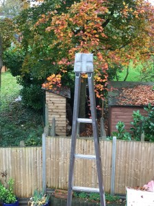 Autumn leaves Harpenden Gutter Cleaning